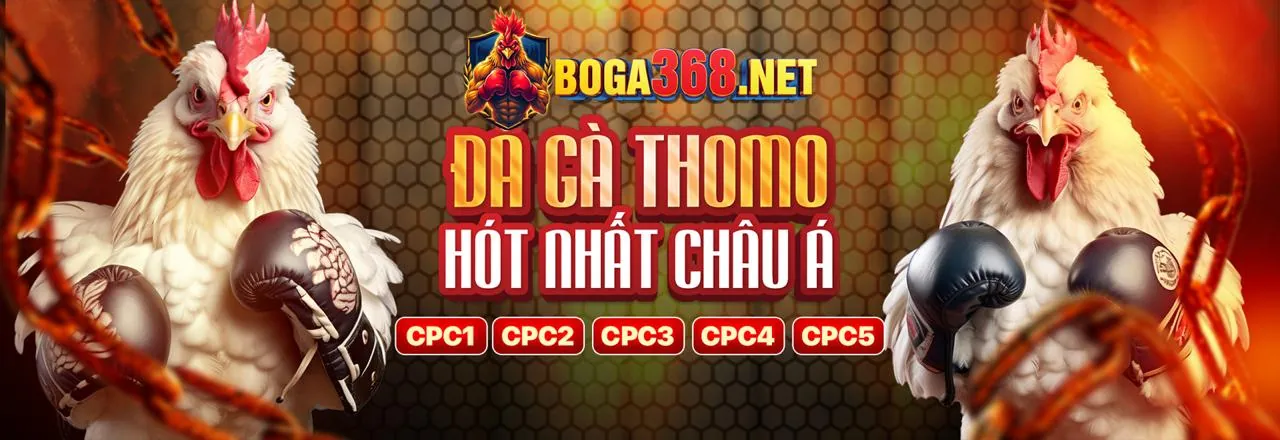 Đá Gà Trực Tuyến 888b